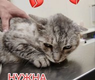 Пожалуйста, помогите нам