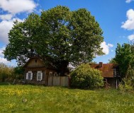 Центральная ул, деревня курганы, любоничский сельсовет