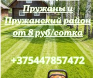 Покос травы от 8 руб/сотка