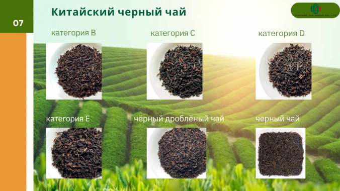 Чай зеленый в ассортименте по классам ИЧАН ТИ ГРУП