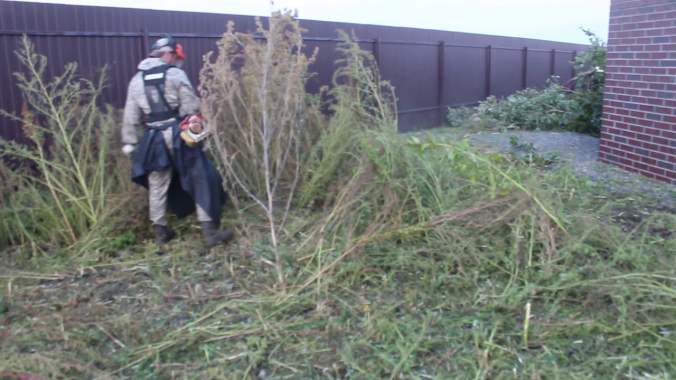 Покос травы. Спил мелколесья.. 1