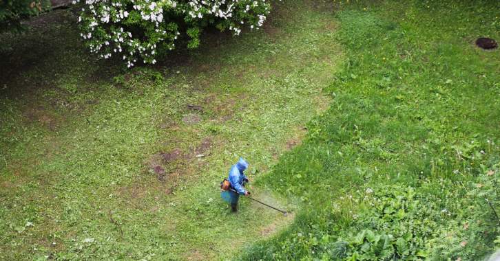 Покос травы. Спил мелколесья.. 3