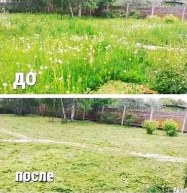 Покос травы. Спил мелколесья.. 6