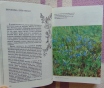 Русское разнотравье. Справочник, 1995 год, 576. . .