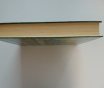 Большой сонник великих. М. : прессверк, 2001 год, 608 стр.