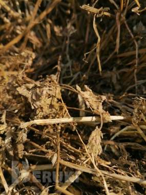 Сенаж в рулонах в герметичной упаковке 2