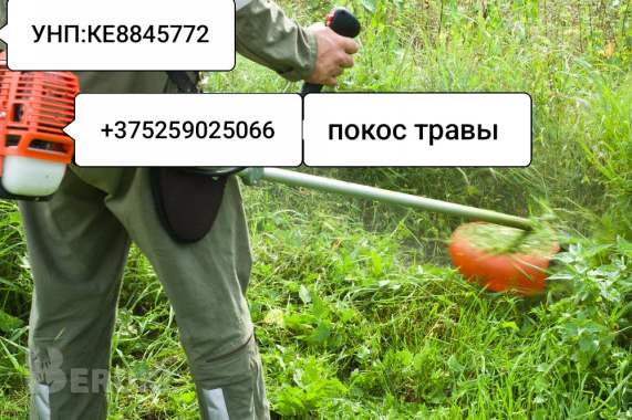 Покос травы