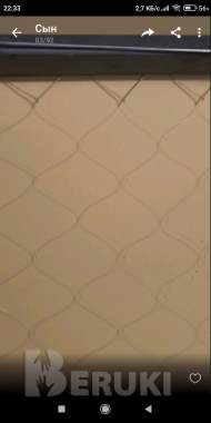 Экран рыболовный. Телевизор 1