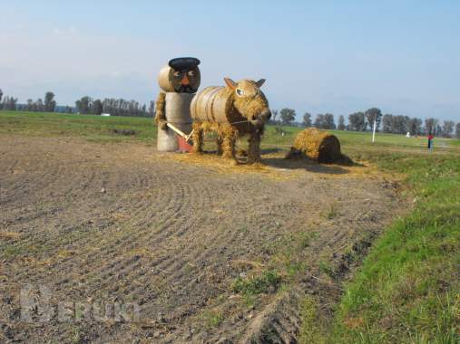 Молодой семье или пенсионеру - на заметку 8