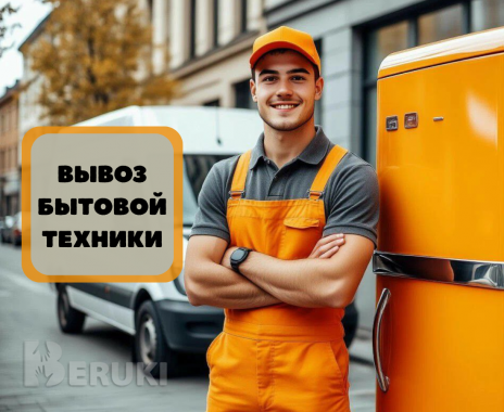 Вывоз бытовой техники