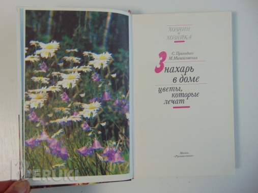 Знахарь в доме цветы, которые лечат. 2