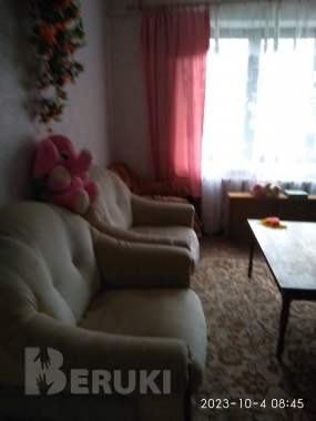 Продам дом в аг. Гудевичи 4