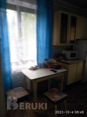 Продам дом в аг. Гудевичи 8