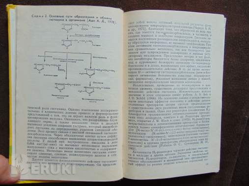 Лекарственная терапия воспалительного процесса 6