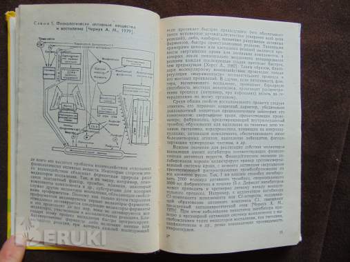 Лекарственная терапия воспалительного процесса 7