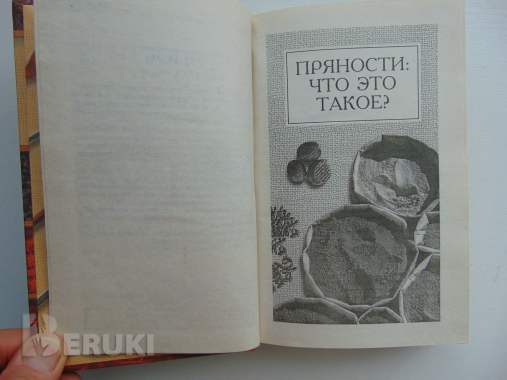 Пряности, специи, приправы. Иванова о. В. . Соленск, русич, 1999 г 624 стр 2