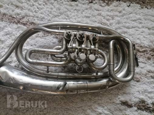 Духовые музыкальные инструменты (неисправные, набором) 3