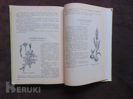 Лекарственные растения марийской асср, 6