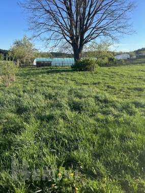 Продам участок д. Марьяливо 8