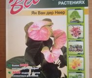 Все о комнатных растениях