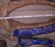 Хомут для лошади