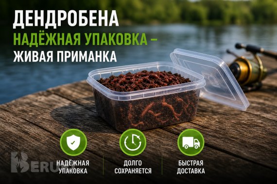 Червь дендробена живой: наживка для рыбалки, опт , доставка по рб 4