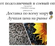 Шрот подсолнечный и соевый оптом от производителя гк юг руси