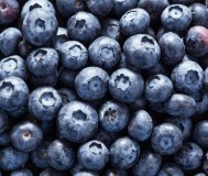 Продам свежую чернику 1л-15р