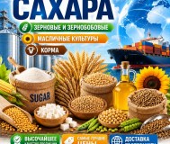 Сахар, зерновые и зернобобовые, масличные культуры, корма