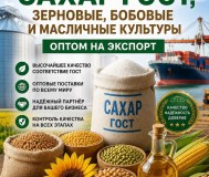 Сахар гост, зерновые, бобовые и масличные культуры оптом