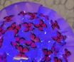 Букет из бабочек с подсветкой