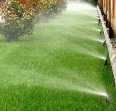 Rongo автополив 2