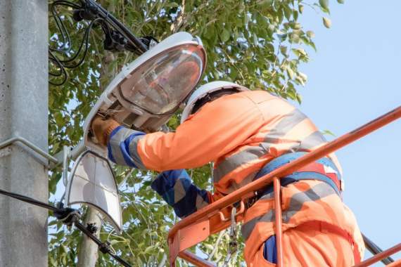 Услуги арбористов, промышленный альпинизм и аренда 8
