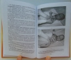 Педиатрия. Доклиническая практика - ежова н. В. , русакова е. М. , ровина с. Н. - 200