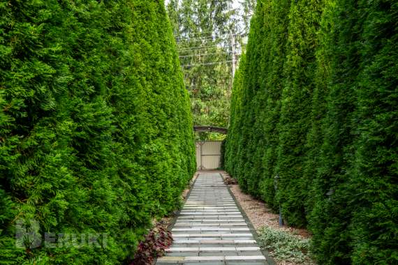 Viр-дом с бaнeй и бассейном «у агавы» 5