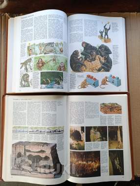 Книги. Энциклопедия. Радость познания. (2,3) том. 6