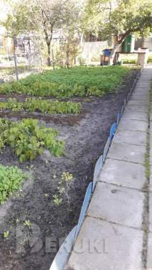 Дачный участок с домом 6