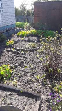 Дачный участок с домом 8