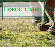 Покос травы, бурьяна, кустов