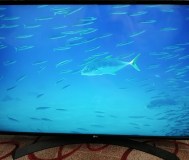Телевизор lg 43uk6450plc smart tv