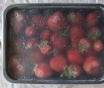 Клубника замороженная грунтовая