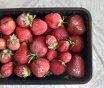 Клубника замороженная грунтовая