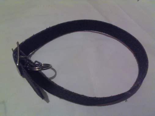 Ошейник для животных. 1