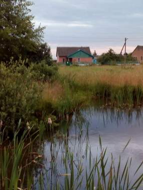 Продается дом, 40 км.от г.Могилева 0