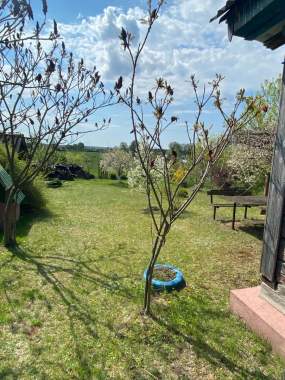 Продам дом в хорошем состоянии 2