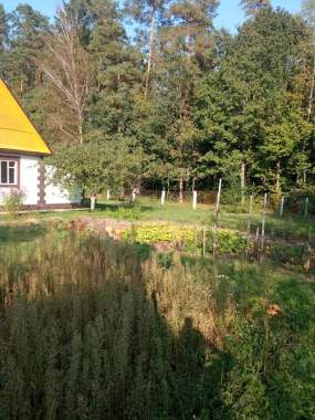 Продается дача 4