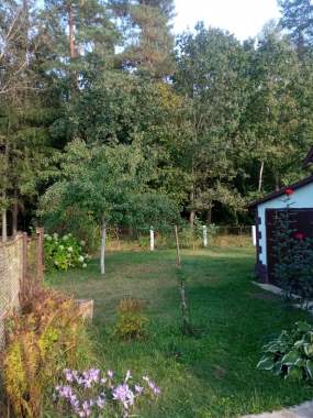 Продается дача 7