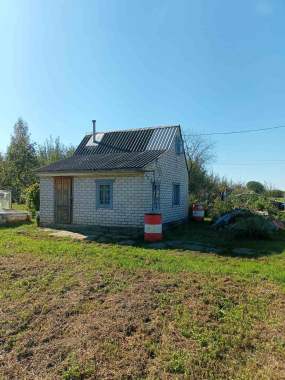 Дачный домик 1