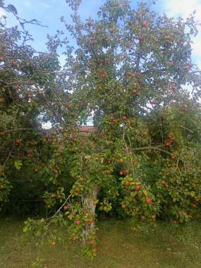 Дачный домик 6