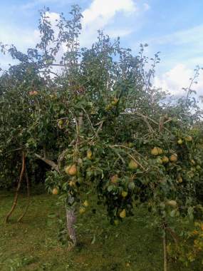 Дачный домик 8